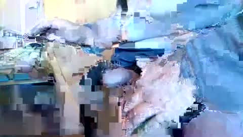 Snapshot of mookie2 chatting on 01/11/25, 09:47 mookie2 online show from 01/11/25, 09:47