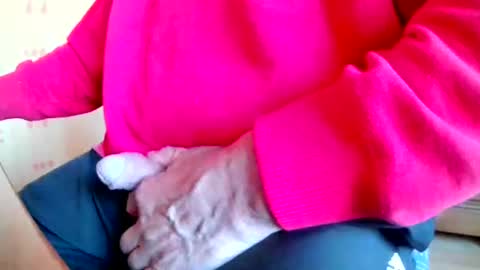 Snapshot of mookie2 chatting on 03/23/26, 04:55 mookie2 online show from 03/23/26, 04:55