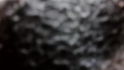 BouncyBoner online show from 09/08/25, 11:04