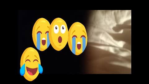 moos1 online show from 09/27/25, 07:41