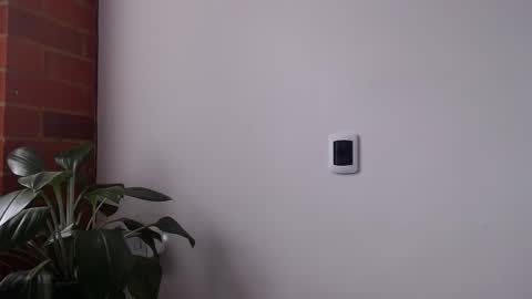 Abelardo online show from 04/19/26, 03:33