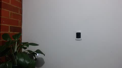 Abelardo online show from 04/20/26, 04:15