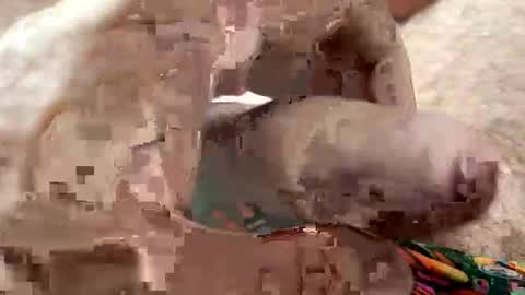 Me online show from 01/07/26, 07:11