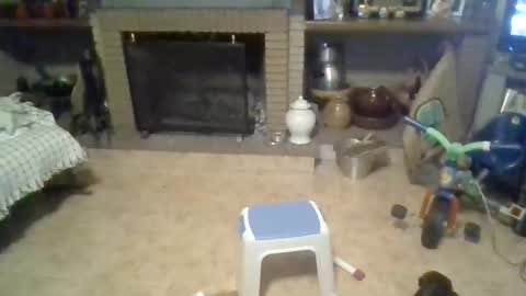 morenikoo26 online show from 04/19/26, 11:07