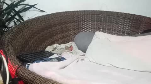 John john online show from 02/17/25, 04:31