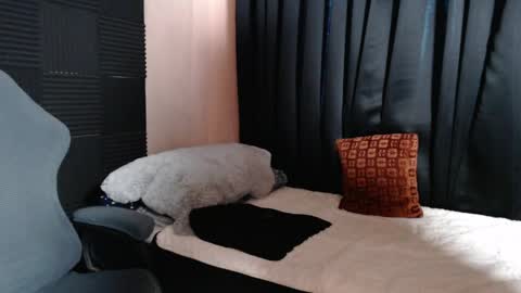 morenojake online show from 04/16/26, 02:34