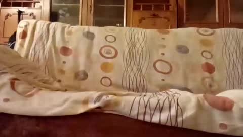 Snapshot of mospeleu chatting on 12/11/24, 08:04 Nomadu online show from 12/11/24, 08:04