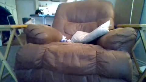 motodub online show from 03/01/25, 04:00