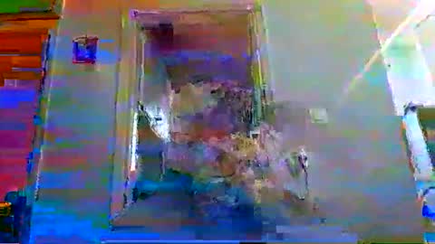 Snapshot of mppempis81 chatting on 11/16/25, 03:17 mppempis81 online show from 11/16/25, 03:17