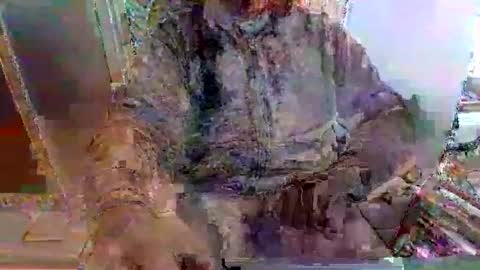 mppempis81 online show from 11/25/25, 07:30