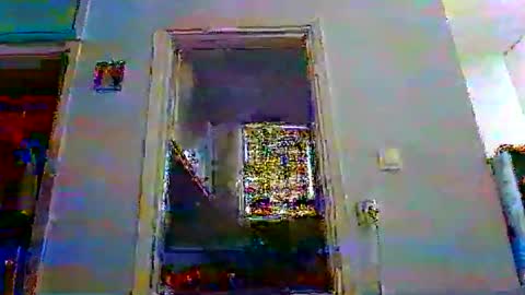 mppempis81 online show from 12/05/25, 06:11