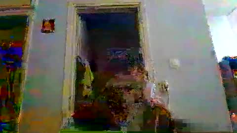 mppempis81 online show from 01/05/26, 06:44