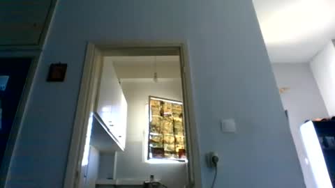 mppempis81 online show from 04/21/26, 05:58