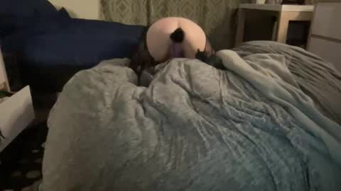 The Honey Pot  Pooh Bear online show from 02/17/26, 09:28