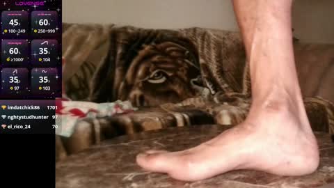 Mr. Good and Ms. Plenty online show from 12/09/24, 06:55