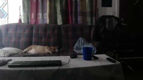 Snapshot of mr_happy12 chatting on 09/23/25, 01:19 mr_happy12 online show from 09/23/25, 01:19