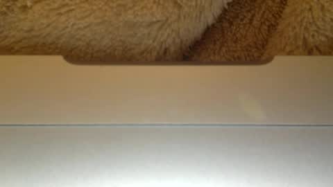 mr_himm online show from 04/23/26, 12:56