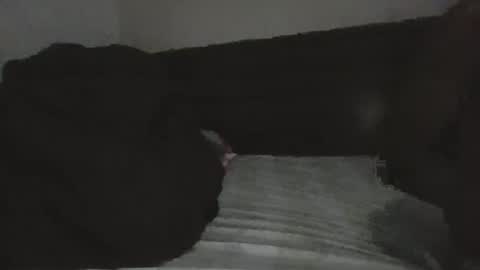 mr hooked online show from 11/18/25, 04:06