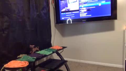 Snapshot of mr_j_showoff chatting on 01/03/25, 09:58 whateveryouwant online show from 01/03/25, 09:58