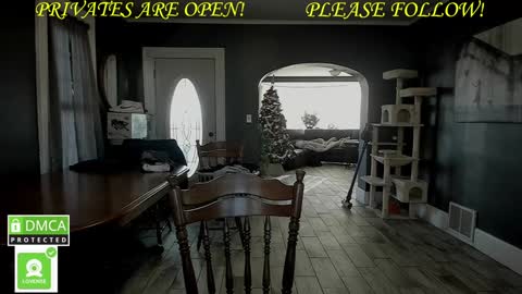 MrBrew online show from 12/01/24, 07:36