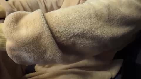 mrdelapampa online show from 11/26/25, 11:55