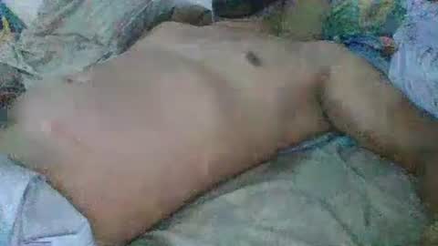 Gato online show from 12/31/24, 08:23