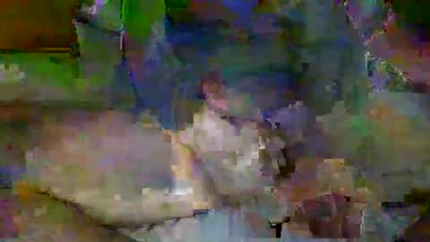 Mr-E online show from 04/06/26, 02:09