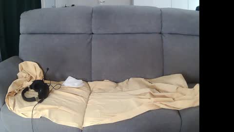 Snapshot of mreurope69 chatting on 12/05/24, 11:07 I am Hardy online show from 12/05/24, 11:07