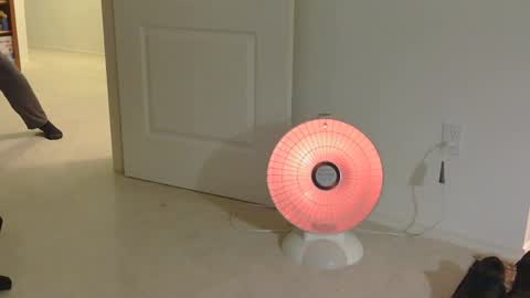 IwantU2WatchME online show from 11/17/25, 12:33