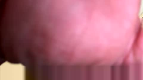 mrfrankfuckforfree online show from 03/03/26, 04:24