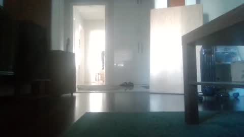 Nikola online show from 02/06/26, 09:23