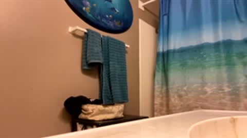 James online show from 02/03/26, 01:59