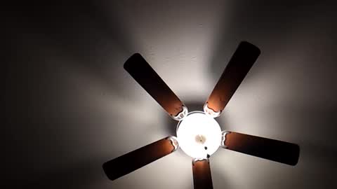 mrorange50187 online show from 12/01/24, 10:21