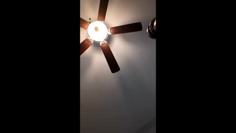 mrorange50187 online show from 01/12/25, 02:52