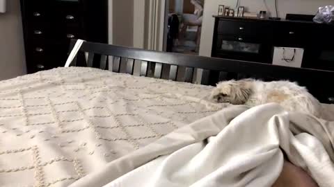 mrrogue online show from 11/01/25, 05:20