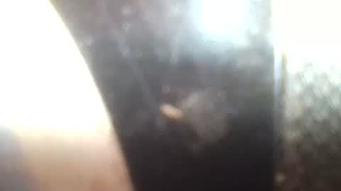 Snapshot of mrvenusx chatting on 01/30/25, 02:36 Mrs Venus online show from 01/30/25, 02:36