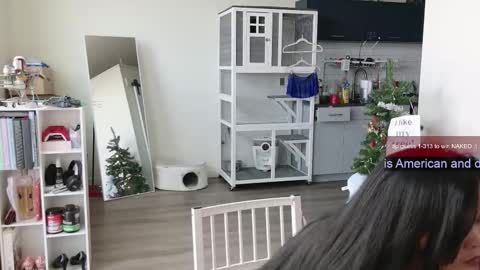 R o r i  SnapChat heyroriv2 wednesday - sunday Noon oclock mountain - 5pm mountain online show from 11/01/25, 06:21