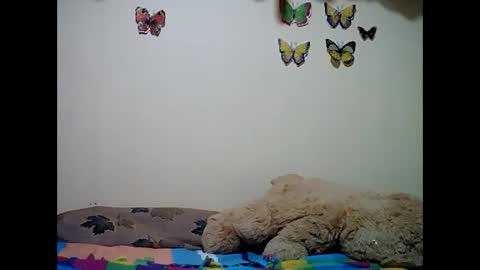 ms_teery online show from 12/08/24, 12:30