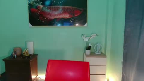 Snapshot of msmeygan chatting on 12/10/24, 11:43 msmeygan online show from 12/10/24, 11:43