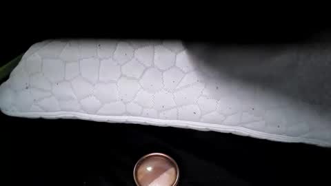 msmomy69 online show from 11/18/25, 02:43