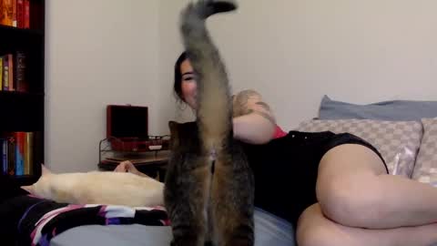 Snapshot of msrubyhayes chatting on 12/11/24, 03:13 Ruby online show from 12/11/24, 03:13