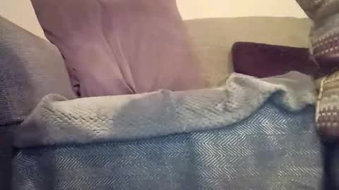 Snapshot of mtx9889 chatting on 12/17/25, 12:05 mtx9889 online show from 12/17/25, 12:05