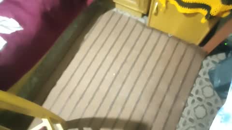 zenon online show from 10/26/25, 02:50