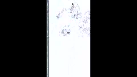 mudjimba online show from 02/26/26, 05:17