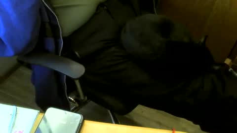 Snapshot of muller520 chatting on 12/29/24, 11:40 muller520 online show from 12/29/24, 11:40