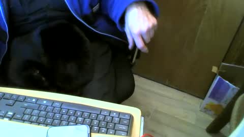 Snapshot of muller520 chatting on 01/15/25, 05:37 muller520 online show from 01/15/25, 05:37