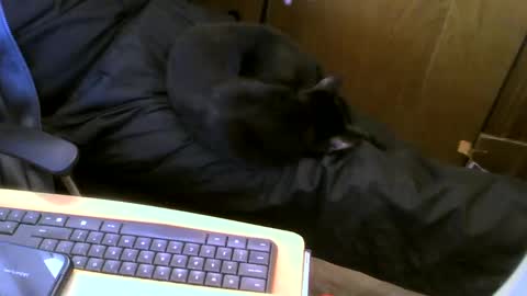 Snapshot of muller520 chatting on 01/16/25, 06:06 muller520 online show from 01/16/25, 06:06
