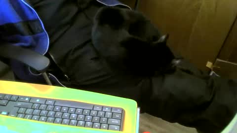 Snapshot of muller520 chatting on 01/18/25, 03:59 muller520 online show from 01/18/25, 03:59