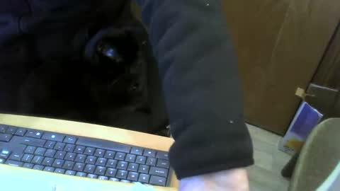 Snapshot of muller520 chatting on 01/22/25, 04:02 muller520 online show from 01/22/25, 04:02