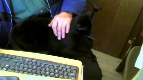 Snapshot of muller520 chatting on 02/04/25, 04:50 muller520 online show from 02/04/25, 04:50